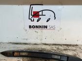 Tailgate/trunk/boot lid