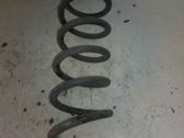 Front coil spring