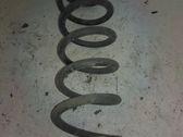 Front coil spring