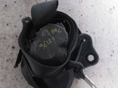 Cinturón trasero