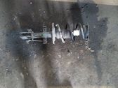 Front coil spring