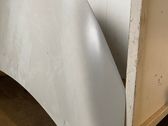 Engine bonnet/hood