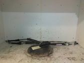 Tailgate/trunk/boot lid