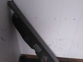 Tailgate/trunk/boot lid