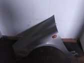 Guardabarro