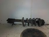 Front coil spring