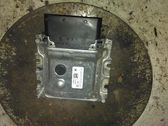 Engine control unit/module ECU