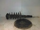 Front coil spring