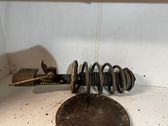 Front coil spring