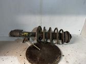 Front coil spring