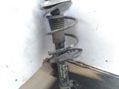 Front coil spring