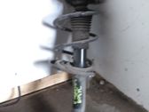 Front coil spring