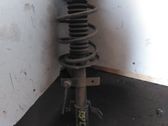 Front coil spring