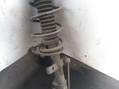 Front coil spring