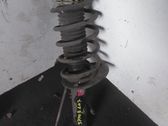 Front coil spring