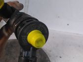 Injektor Einspritzdüse