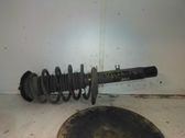 Front coil spring