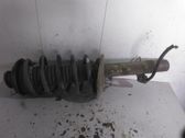 Front shock absorber/damper