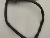 Sonde lambda