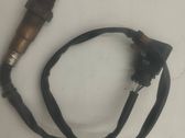 Sonde lambda