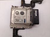 Engine control unit/module ECU