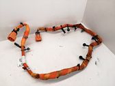 Other wiring loom