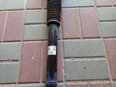 Rear shock absorber/damper