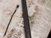 Tailgate/trunk strut/damper