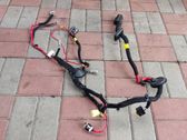 Front door wiring loom