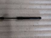 Front bonnet/hood damper/strut