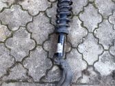 Front shock absorber/damper