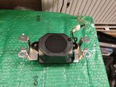 Panel speaker