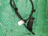 Engine installation wiring loom