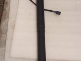 Tailgate/trunk strut/damper