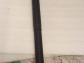 Tailgate/trunk strut/damper