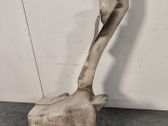 Wischwasserbehälter