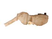 Windshield washer fluid reservoir/tank