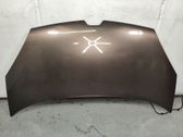 Engine bonnet/hood