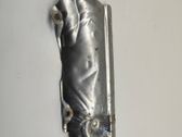 Exhaust heat shield