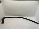 Front door glass trim molding