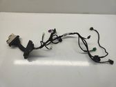 Front door wiring loom