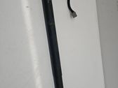 Tailgate/trunk strut/damper
