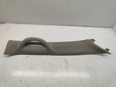 (D)pillar trim (top)