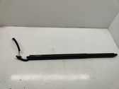 Tailgate/trunk strut/damper