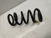 Rear coil spring