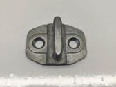 Rear door lock loop/hook striker