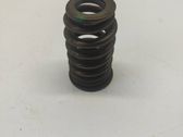 Valve spring