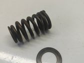 Valve spring