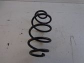 Rear coil spring