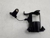 Oil level sensor